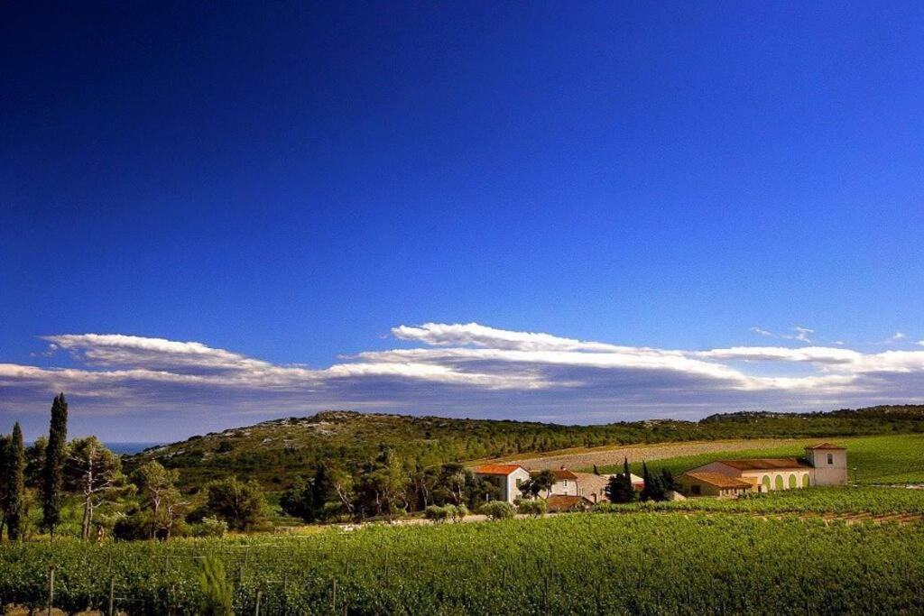Entre Mer Et Garrigue Saint-Pierre-la-Mer  ภายนอก รูปภาพ