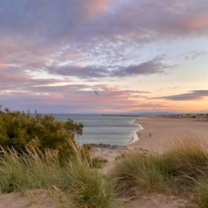 Entre Mer Et Garrigue Saint-Pierre-la-Mer  ภายนอก รูปภาพ